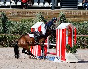 Apolloni Baby Arko GioCav2013 S5 1910 : Apolloni Gianluca, Baby Arko, Campionati Italiani Giovani Cavalli, Cattolica, ph Stefano Secchi ©
